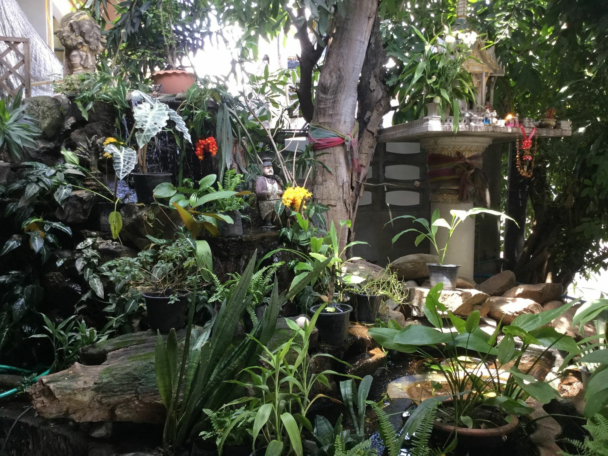 Rose Guest House Chiang Mai Ngoại thất bức ảnh